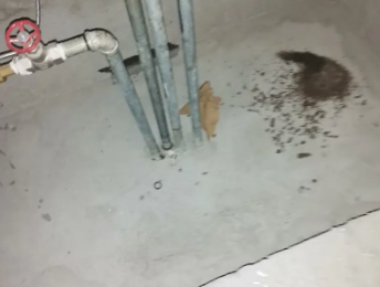 新绛卫生间测漏水价格明细