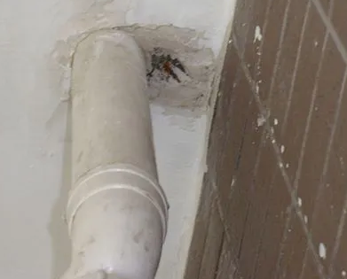 新绛漏水检测哪家好